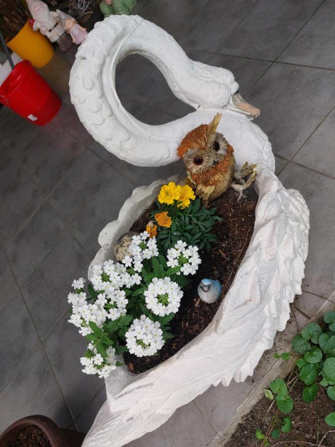 Queen House Apartman ซาเกร็บ ภายนอก รูปภาพ